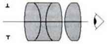 Okulár T-S ORTHO 10.5mm 1.25"